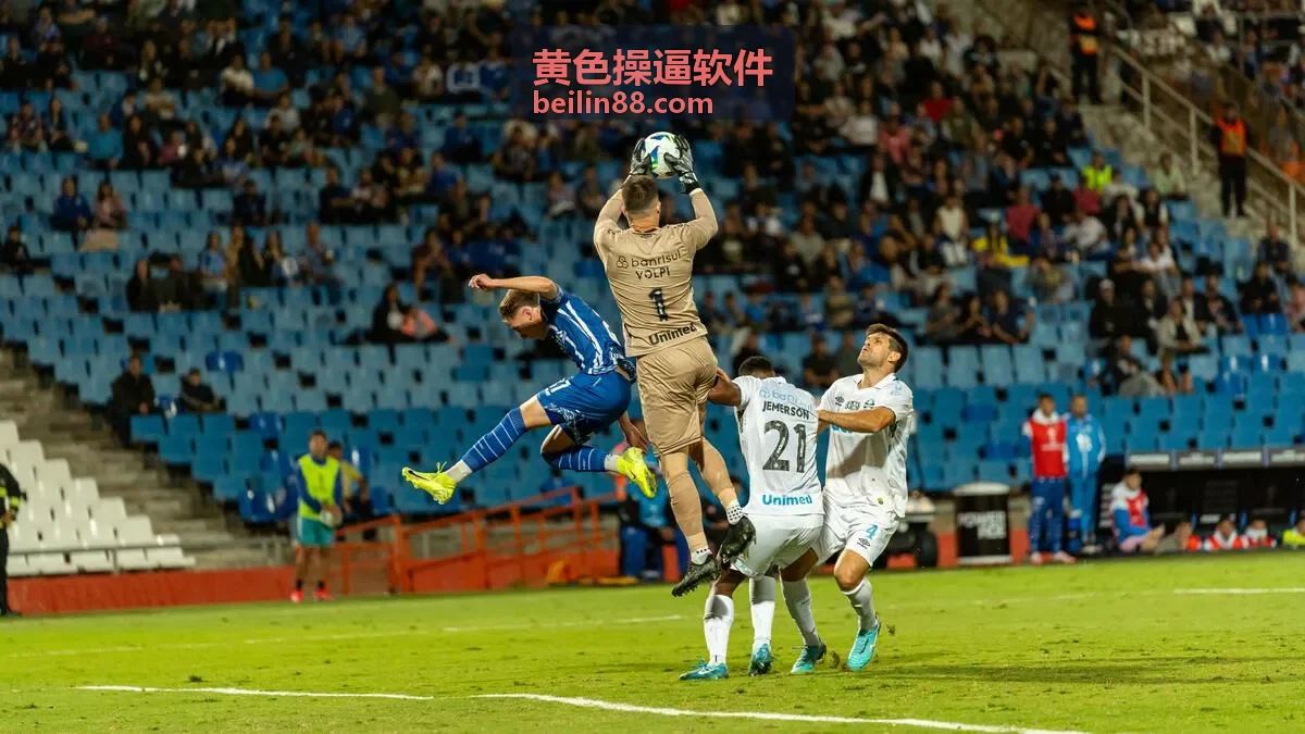 黄色操逼软件访问步骤说明