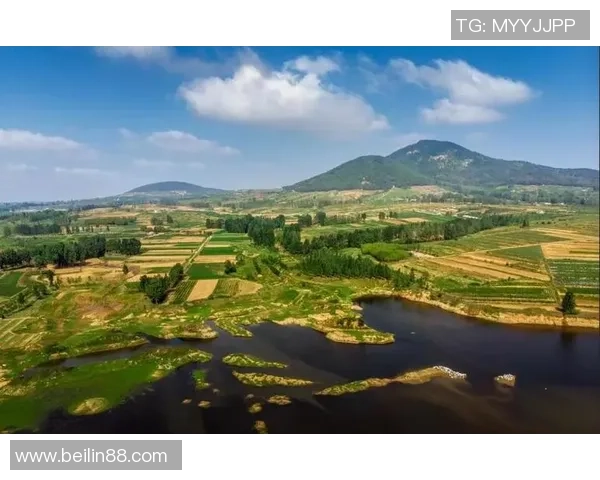 重磅专题：探索LNG产业链的阵地战革新与未来发展趋势